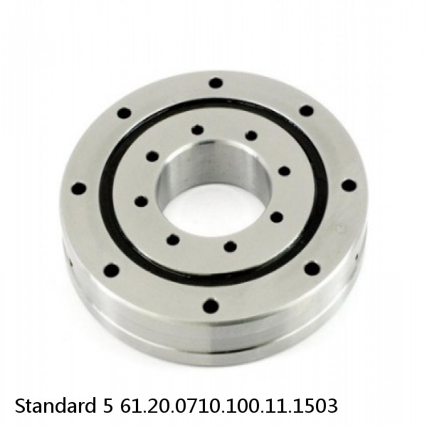 61.20.0710.100.11.1503 Standard 5 Slewing Ring Bearings