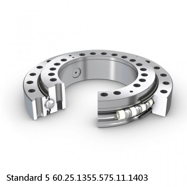 60.25.1355.575.11.1403 Standard 5 Slewing Ring Bearings
