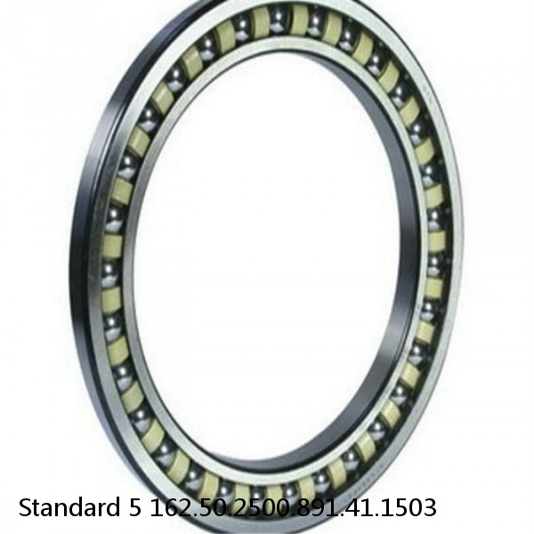 162.50.2500.891.41.1503 Standard 5 Slewing Ring Bearings