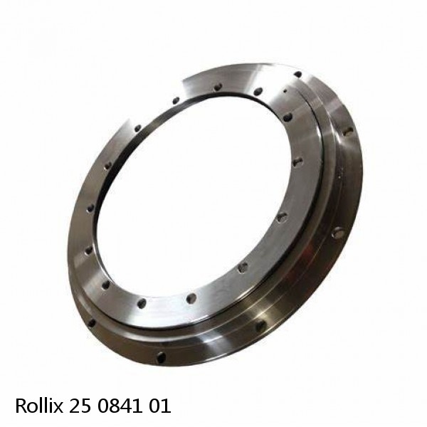 25 0841 01 Rollix Slewing Ring Bearings