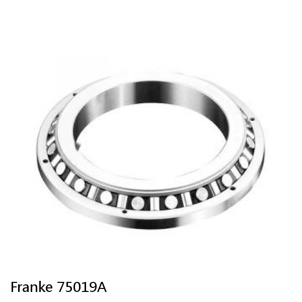 75019A Franke Slewing Ring Bearings