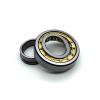2.953 Inch | 75 Millimeter x 4.528 Inch | 115 Millimeter x 1.181 Inch | 30 Millimeter  CONSOLIDATED BEARING NCF-3015V  Cylindrical Roller Bearings