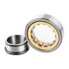 1.378 Inch | 35 Millimeter x 3.15 Inch | 80 Millimeter x 0.827 Inch | 21 Millimeter  LINK BELT MA1307EXC1020  Cylindrical Roller Bearings