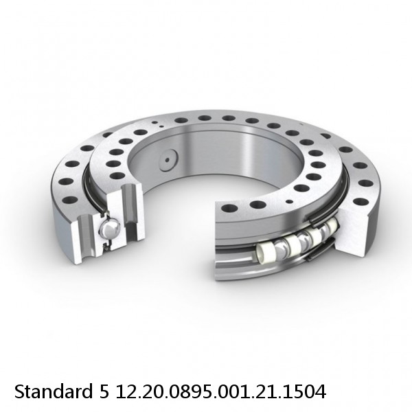 12.20.0895.001.21.1504 Standard 5 Slewing Ring Bearings