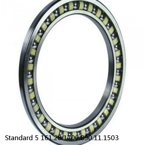 161.28.1700.890.11.1503 Standard 5 Slewing Ring Bearings #1 small image