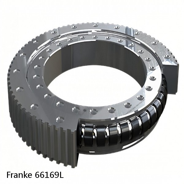 66169L Franke Slewing Ring Bearings #1 small image