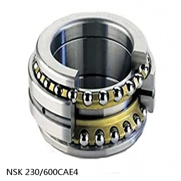 230/600CAE4 NSK Spherical Roller Bearing #1 small image