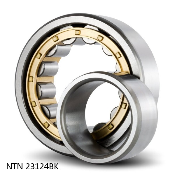 23124BK NTN Spherical Roller Bearings #1 small image