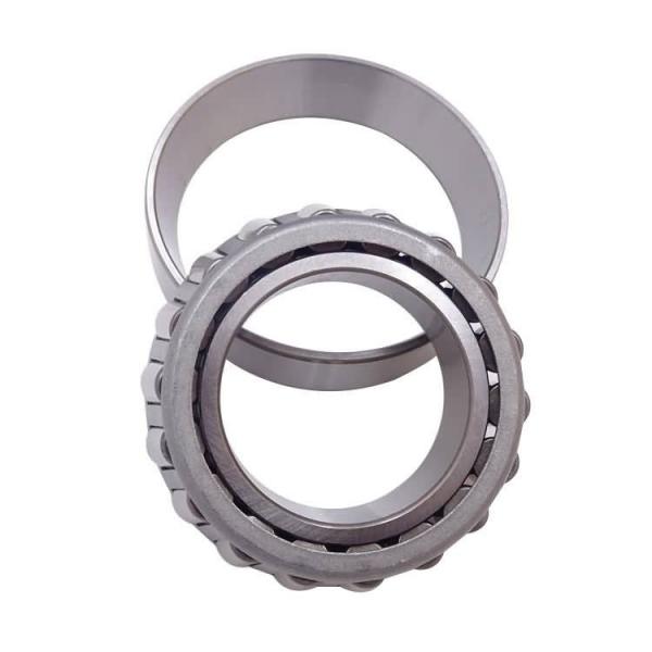 FAG NU315-E-M1-F1-C4  Cylindrical Roller Bearings #3 image