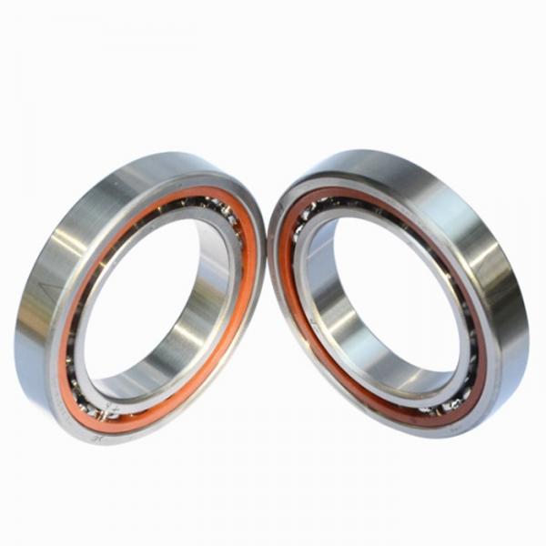 FAG NU315-E-M1-F1-C4  Cylindrical Roller Bearings #2 image