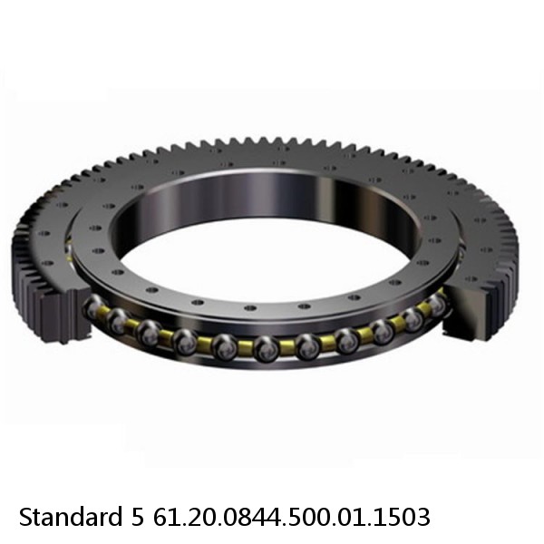 61.20.0844.500.01.1503 Standard 5 Slewing Ring Bearings #1 image