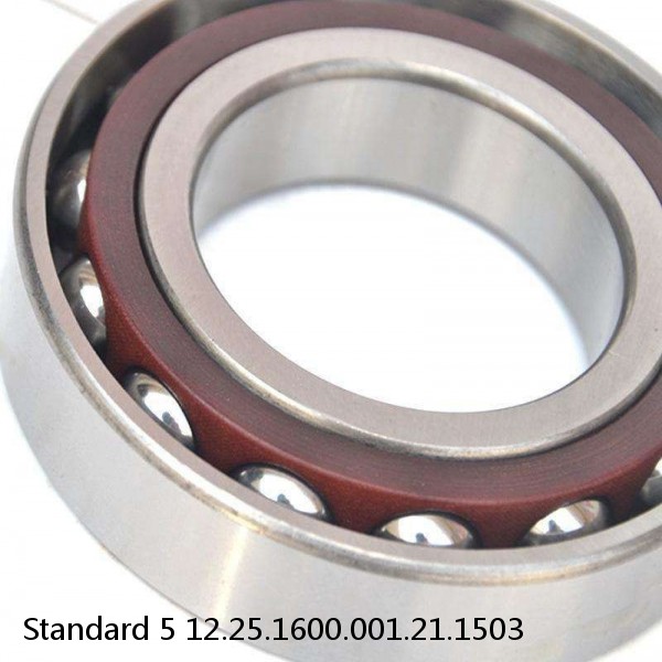 12.25.1600.001.21.1503 Standard 5 Slewing Ring Bearings #1 image