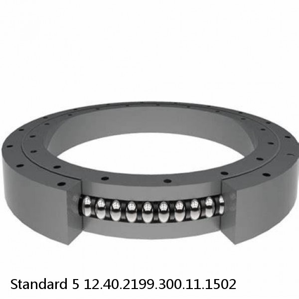 12.40.2199.300.11.1502 Standard 5 Slewing Ring Bearings #1 image