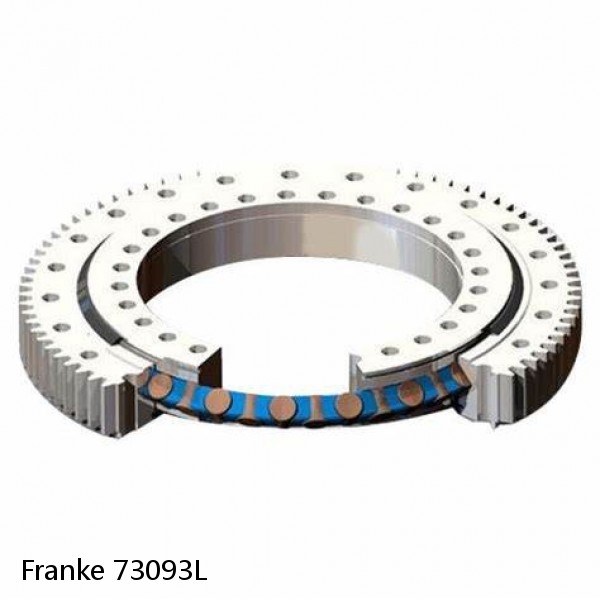 73093L Franke Slewing Ring Bearings #1 image