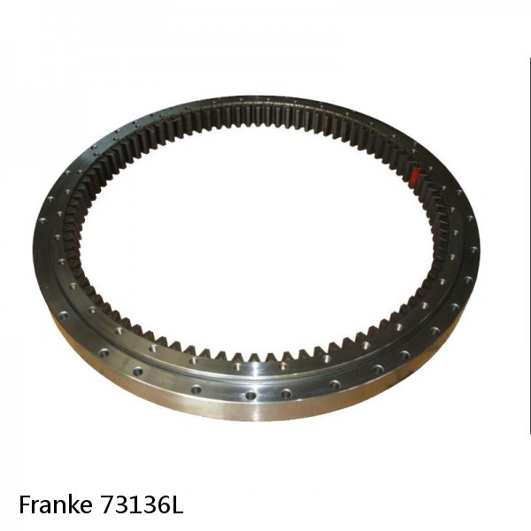 73136L Franke Slewing Ring Bearings #1 image
