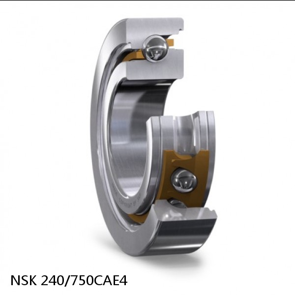 240/750CAE4 NSK Spherical Roller Bearing #1 image