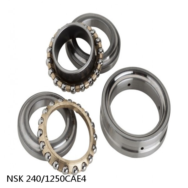 240/1250CAE4 NSK Spherical Roller Bearing #1 image