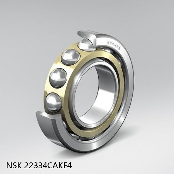 22334CAKE4 NSK Spherical Roller Bearing #1 image