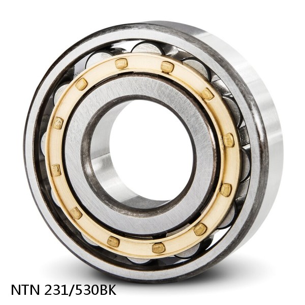 231/530BK NTN Spherical Roller Bearings #1 image